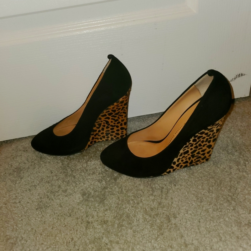 Giuseppe Zanotti